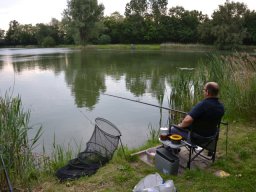 Competities HSV Alfheim